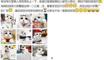 求佛表情包,求佛表情包的趣味解读