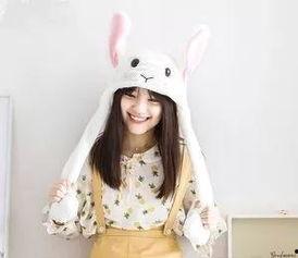 网红只呆不萌,揭秘呆萌背后的真实魅力