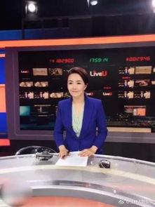 刘梦娜主持人个人资料,才华横溢的主持人，闪耀荧屏的魅力之星