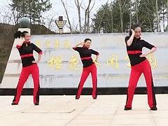 广场舞杨丽萍个人资料